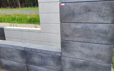 Joniec Roma Mega RM19 lidyt